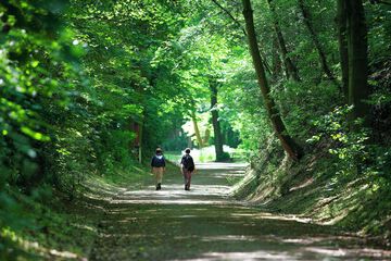 Hiking