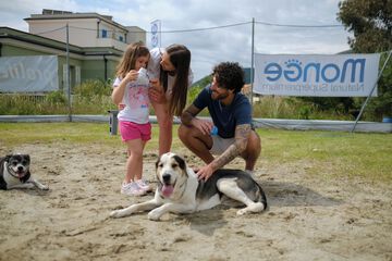 Pet-friendly amenities