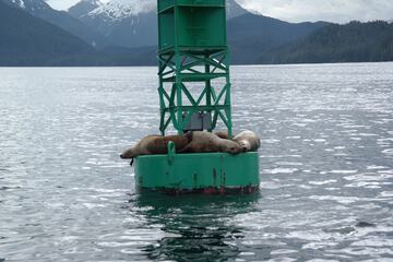 Land view from property