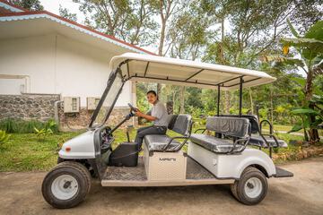 Golf cart