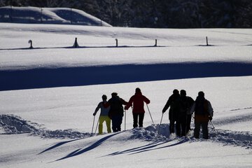 Snowshoeing