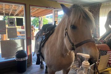 Horseback riding