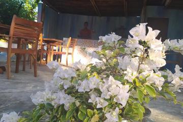 Photo 46