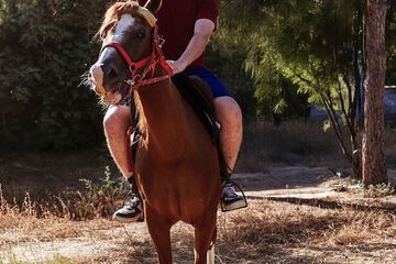 Horseback riding