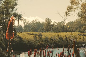 Lake
