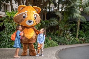 Children's activities