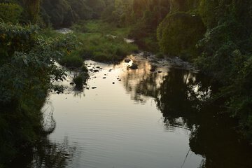 Water view