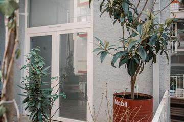 Photo 46