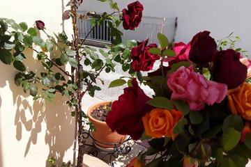 Photo 49