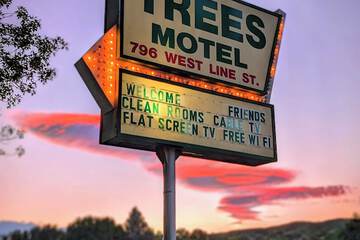 Trees Motel