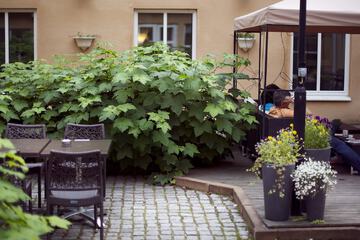 Courtyard