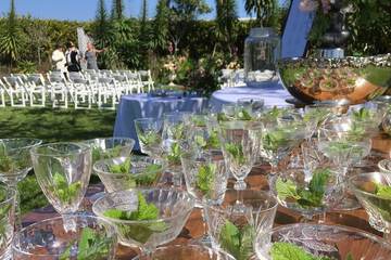 Outdoor wedding area