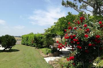 Photo 46
