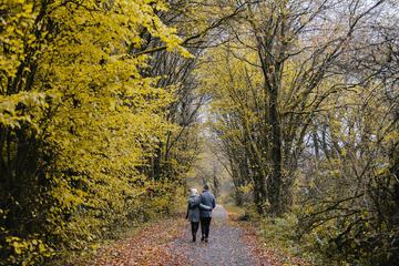 Hiking