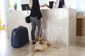 Pet-friendly