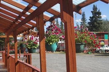 Photo 46