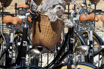 Bicycling