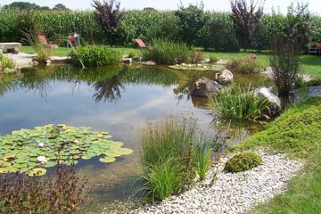 Natural pool