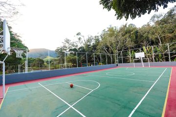 Basketball court
