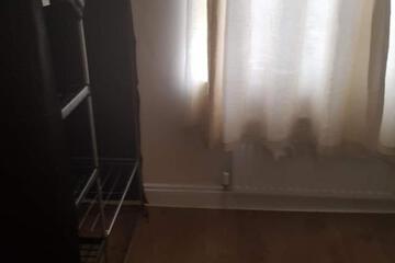 Photo 81