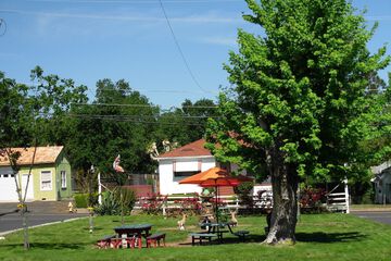 BBQ/picnic area