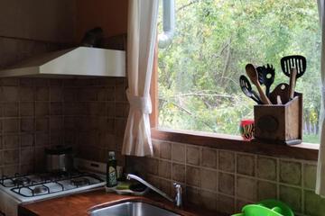 Photo 51