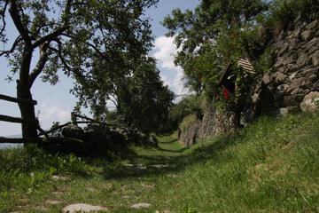 Photo 38