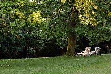 Park view