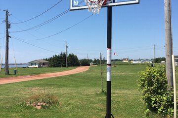 Basketball court