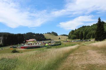 Photo 46