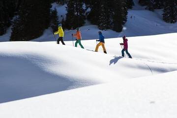 Snowshoeing