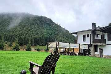 Photo 41