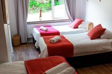 Photo 41