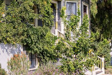Madison Street Inn B & B