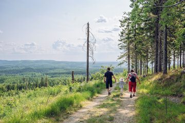 Hiking