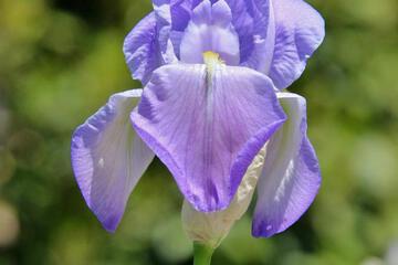 Photo 70