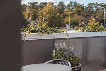 Rooftop terrace