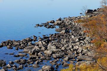 Photo 42