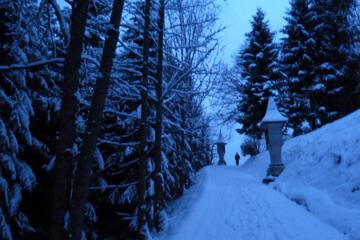 Photo 37