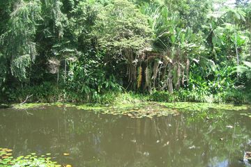 Lake