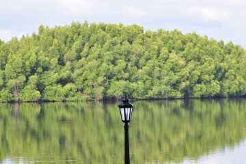 Lake