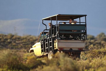 Ecotours