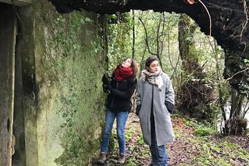 Hiking