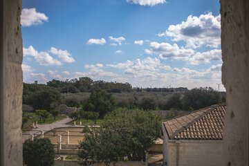 Land view from property
