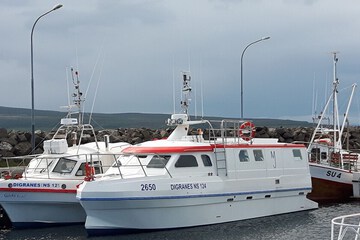 Photo 13