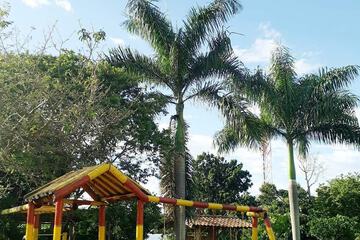 Children's play area - outdoor