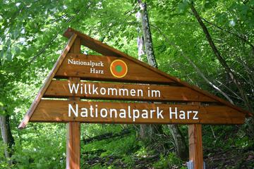 Hiking