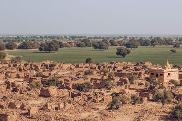 Safari