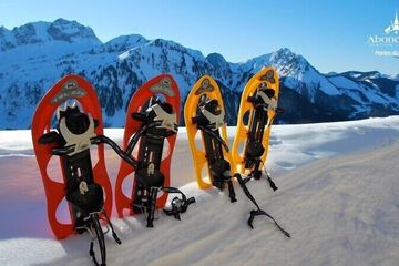 Snowshoeing