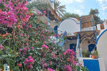 Photo 44